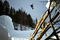 Erkka Siivola